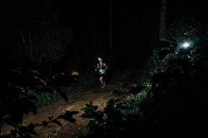 BIB: 
                            <button type="button" onclick="openModal(25777815)" class="btn btn-primary btn-sm float-right btn-popup" data-toggle="modal" data-target=".modal-high-quality">
                        <i class="fas fa-shopping-cart"></i> Add to Cart
                    </button>
                                            <button type="button" onclick="isThisMe(25777815, true)" class="btn btn-success btn-sm float-right btn-popup btn-isme hidden" data-toggle="tooltip" data-placement="bottom" title="นี่คือรูปของคุณใช่ไหม คลิกที่นี่เพื่อเอาเข้าอัลบั้ม">
                        <i class="fas fa-plus"></i> Add to album
                    </button>
                    <button type="button" onclick="isThisMe(25777815, false)" class="btn btn-warning btn-sm float-right btn-popup btn-isnotme hidden">
                        <i class="fas fa-ban"></i> Remove from album
                    </button>